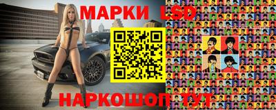 ешки Ставрополь