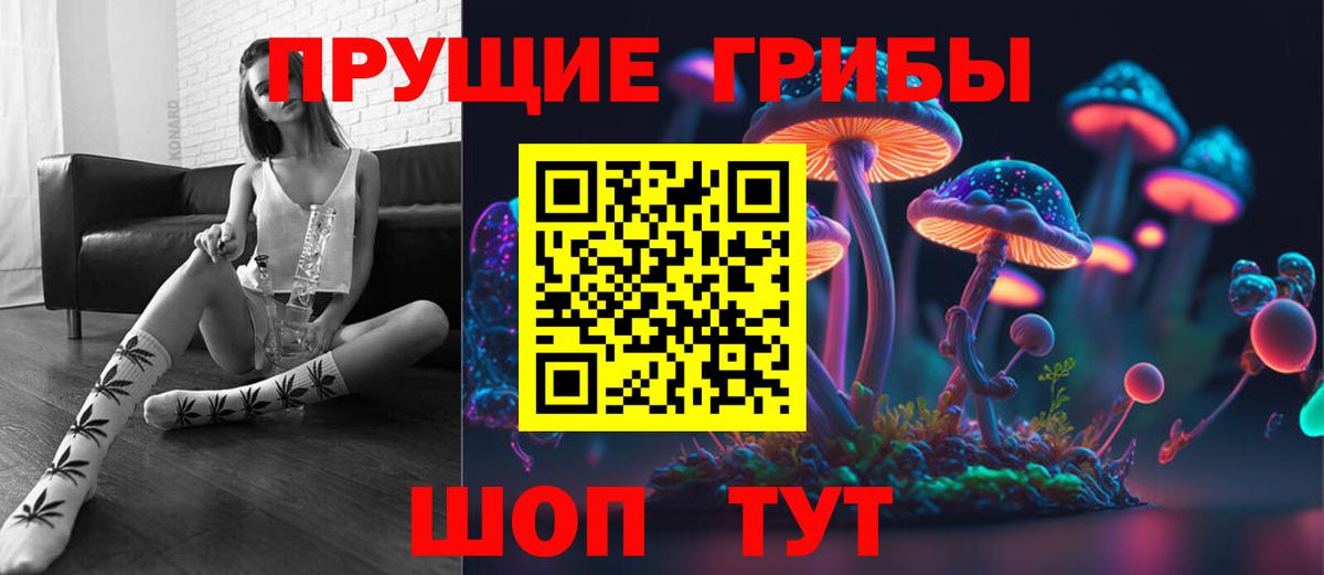 Галлюциногенные грибы Psilocybine cubensis  как найти   Нижний Новгород  Вход с VPN 